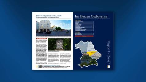 DERJOT_ARBEITEN_Lions_BO_111_27_original