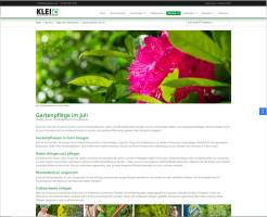 KLEI_Website_Desktop_09_original